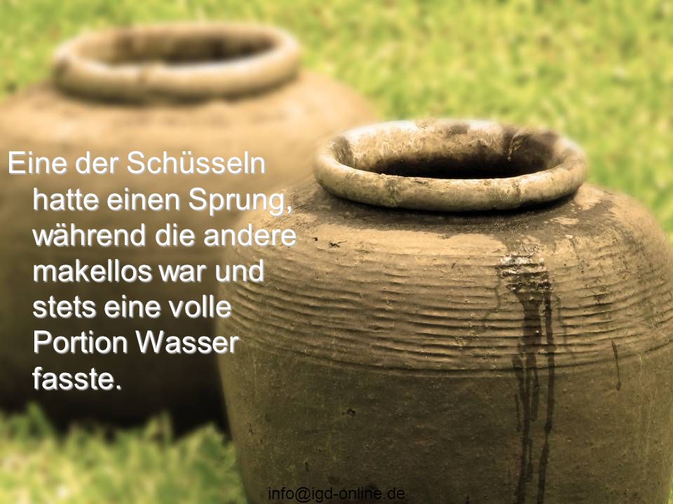 Eine der Schüsseln hatte einen Sprung, während die andere makellos war und stets eine volle Portion Wasser fasste.