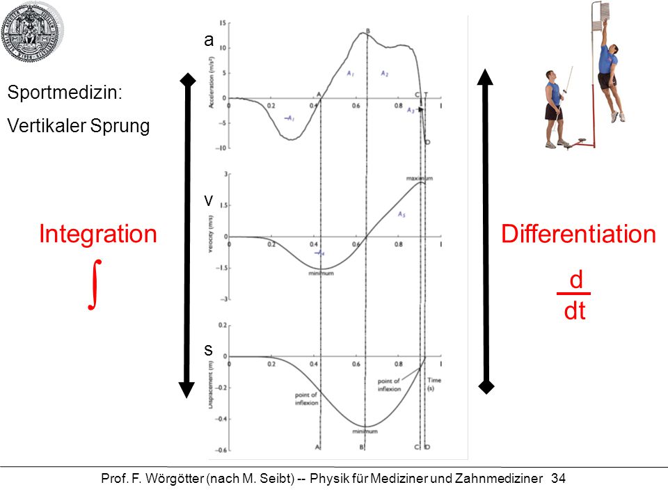 ∫ Integration Differentiation d dt a Sportmedizin: Vertikaler Sprung v