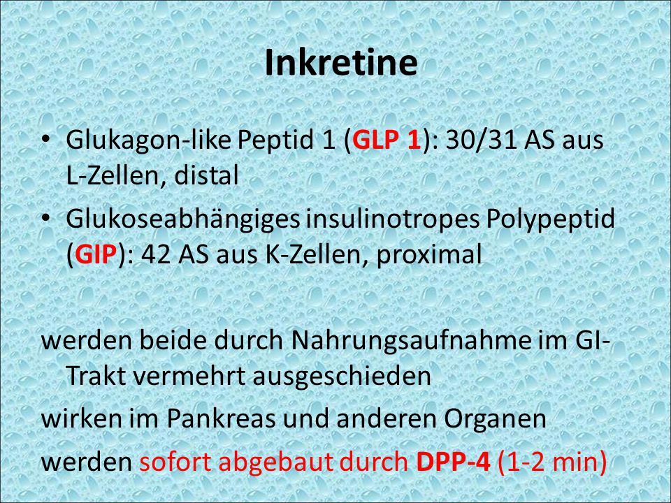 Inkretine Glukagon-like Peptid 1 (GLP 1): 30/31 AS aus L-Zellen, distal.