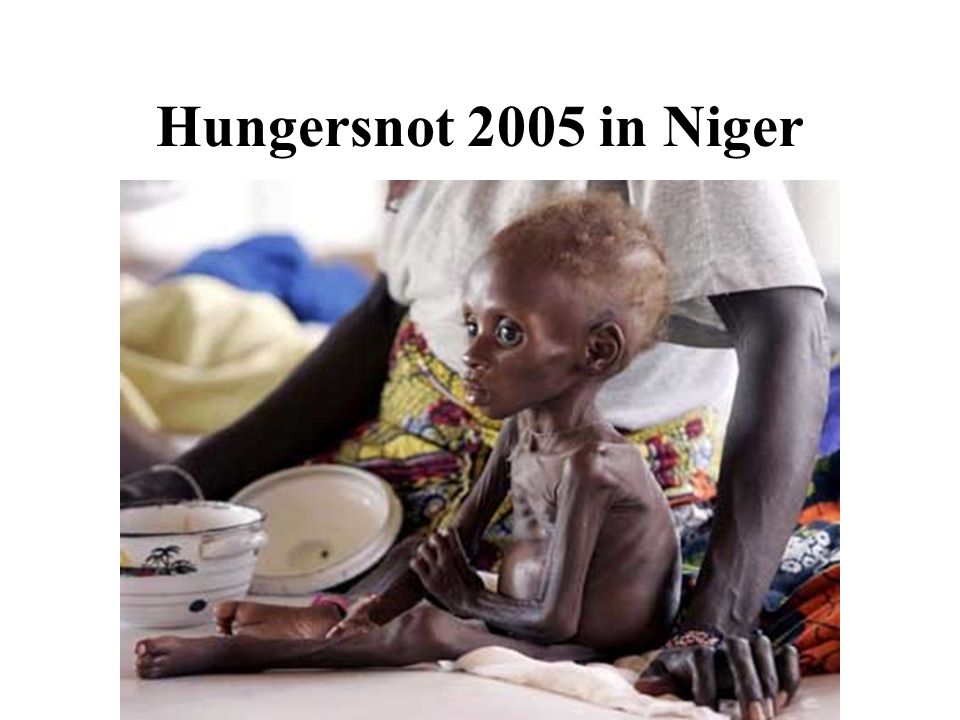 Hungersnot 2005 in Niger