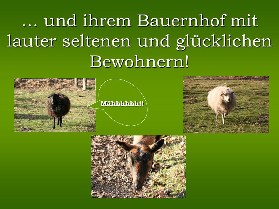 … und ihrem Bauernhof mit lauter seltenen und glücklichen Bewohnern!