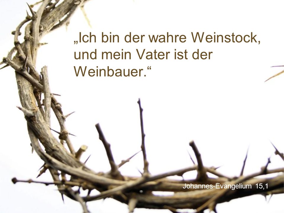 Ich bin der wahre Weinstock! ppt video online herunterladen