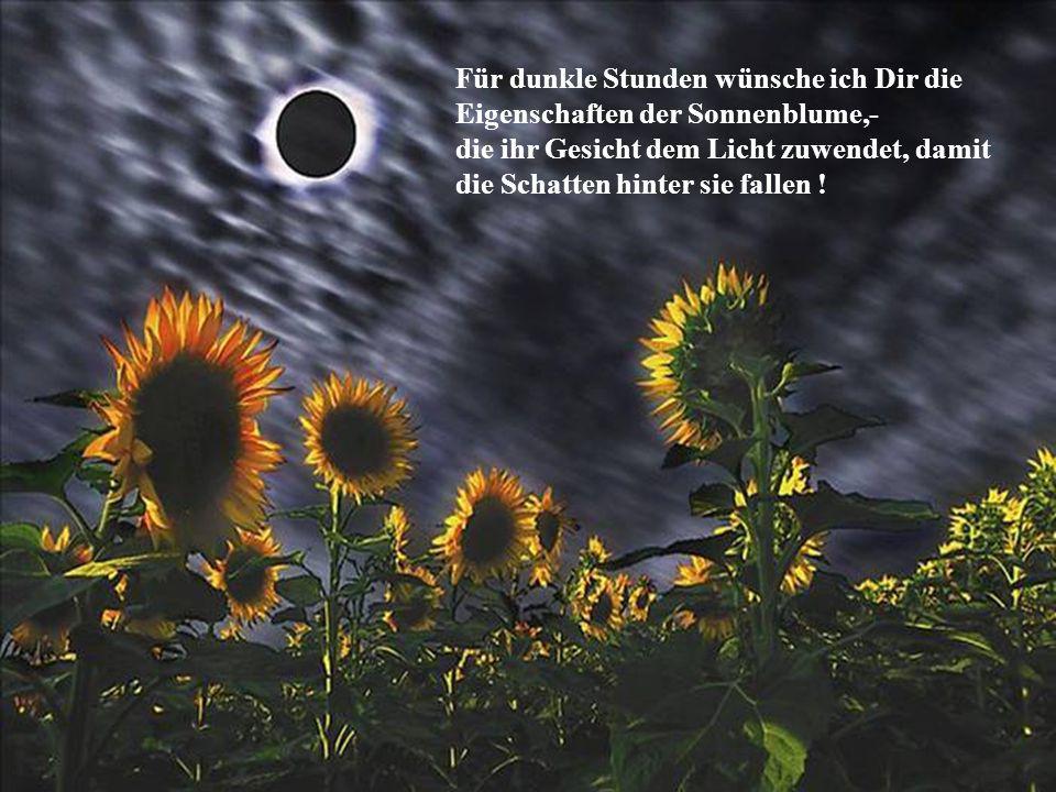 Für dunkle Stunden wünsche ich Dir die Eigenschaften der Sonnenblume,- die ihr Gesicht dem Licht zuwendet, damit die Schatten hinter sie fallen !