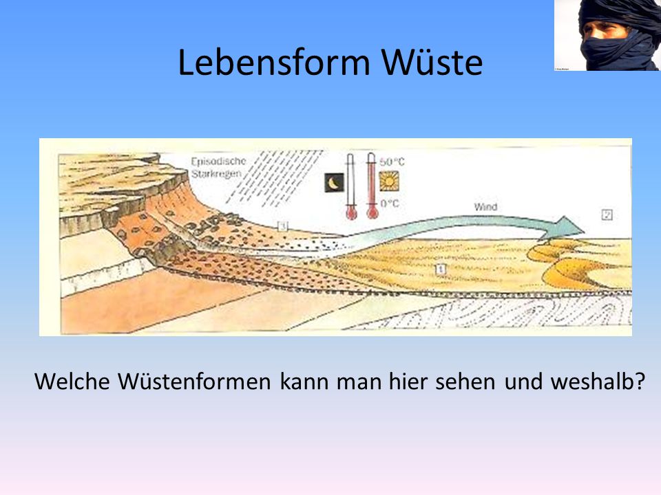 Lebensform Wüste Welche Wüstenformen kann man hier sehen und weshalb