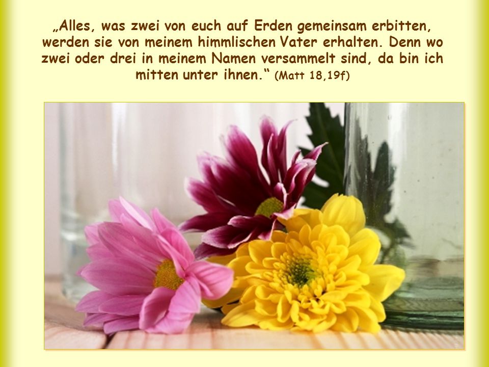 „Alles, was zwei von euch auf Erden gemeinsam erbitten, werden sie von meinem himmlischen Vater erhalten.