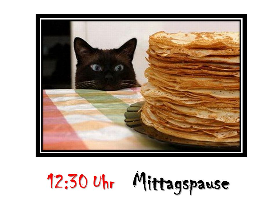 Mittagspause 12:30 Uhr