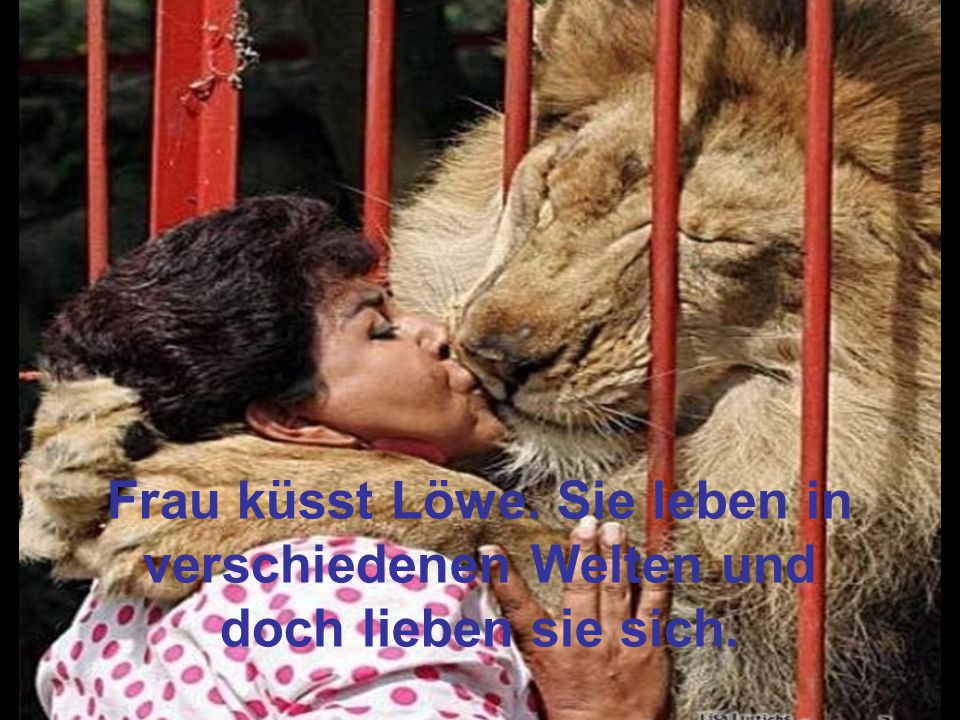 Frau küsst Löwe. Sie leben in verschiedenen Welten und doch lieben sie sich.