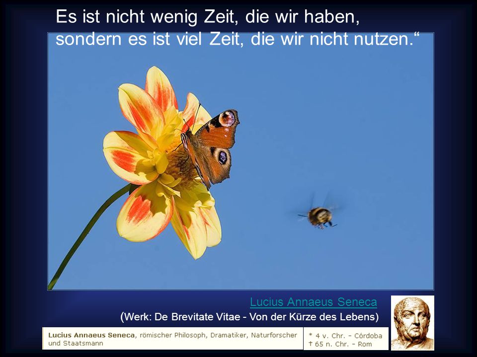 Es ist nicht wenig Zeit, die wir haben, sondern es ist viel Zeit, die wir nicht nutzen.