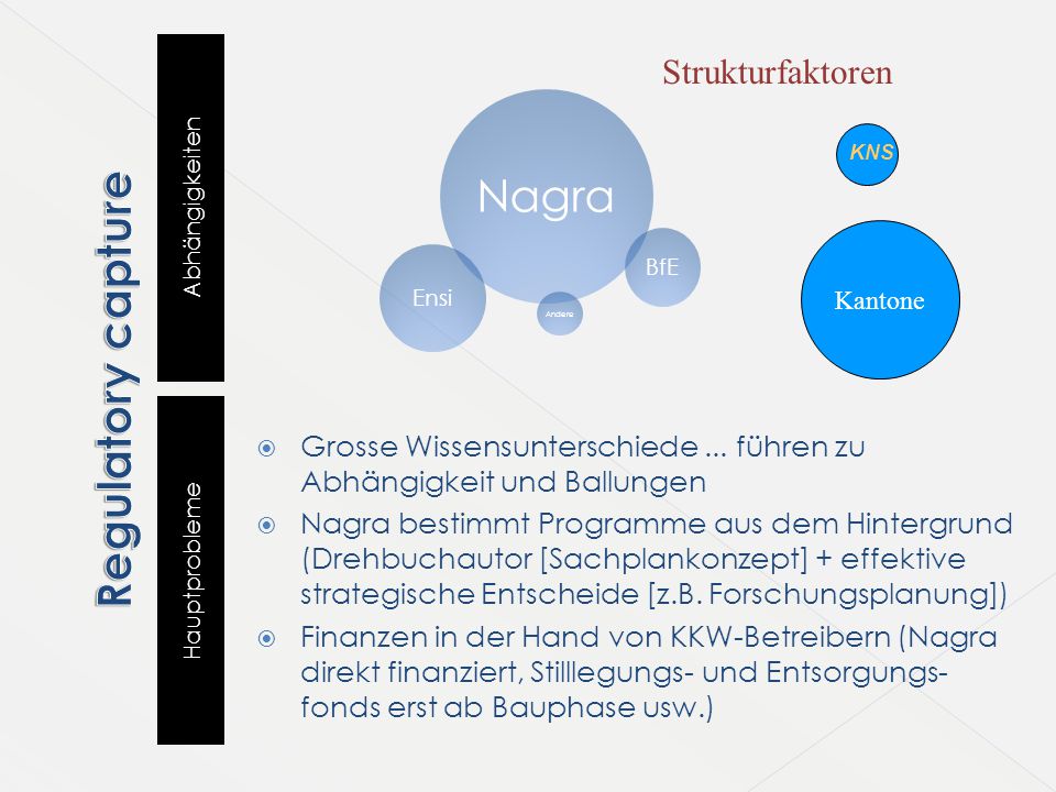 Regulatory capture Nagra Strukturfaktoren