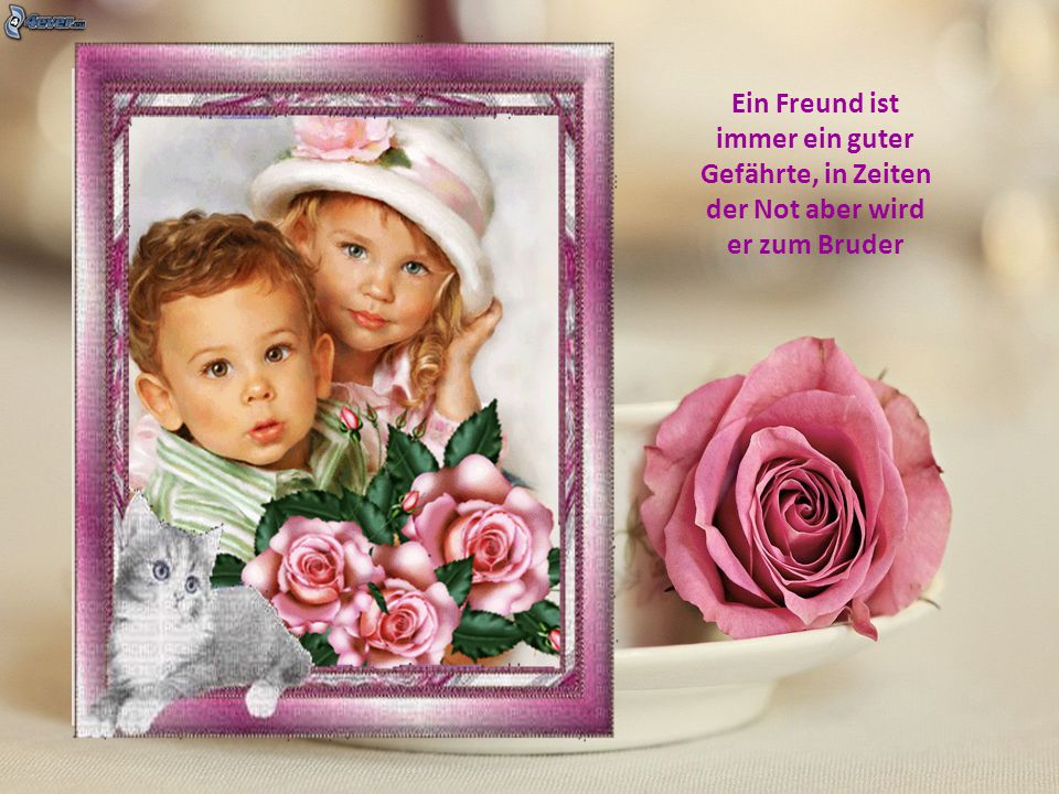 Ein Freund ist immer ein guter Gefährte, in Zeiten der Not aber wird er zum Bruder