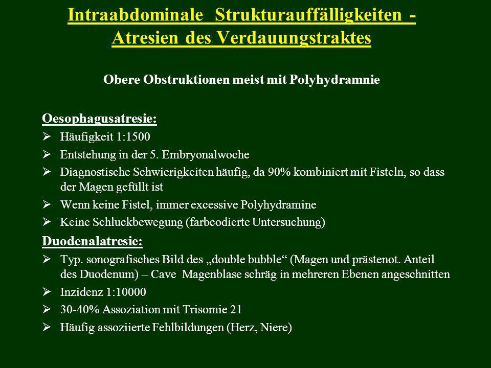 Intraabdominale Strukturauffälligkeiten - Atresien des Verdauungstraktes Obere Obstruktionen meist mit Polyhydramnie