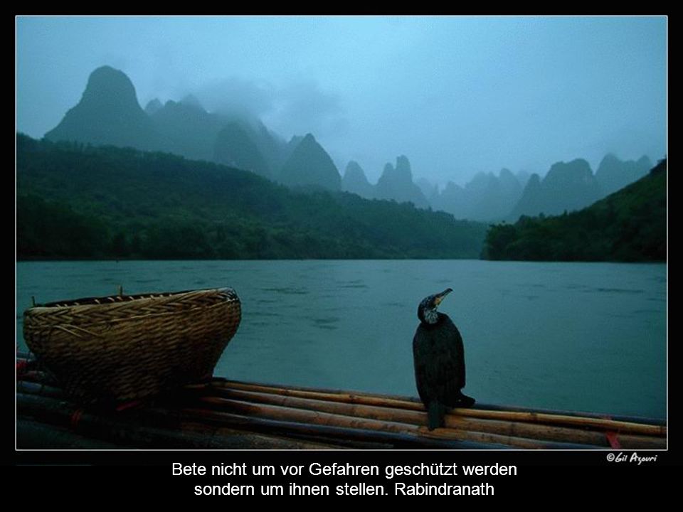 Bete nicht um vor Gefahren geschützt werden sondern um ihnen stellen