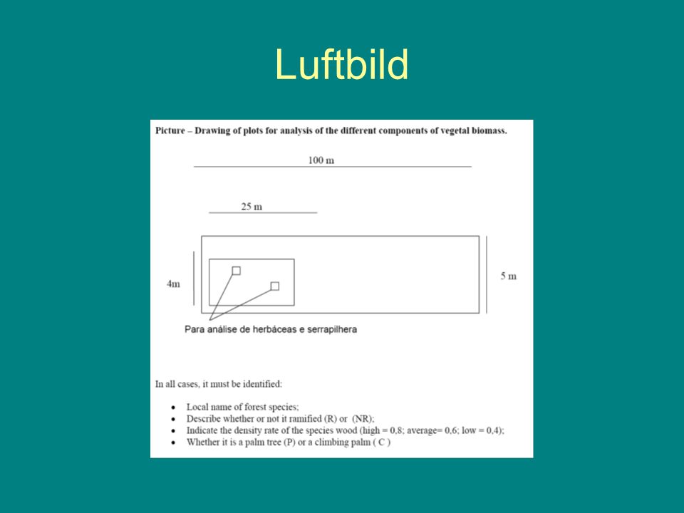 Luftbild