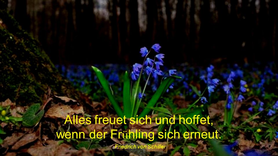 Alles freuet sich und hoffet, wenn der Frühling sich erneut.