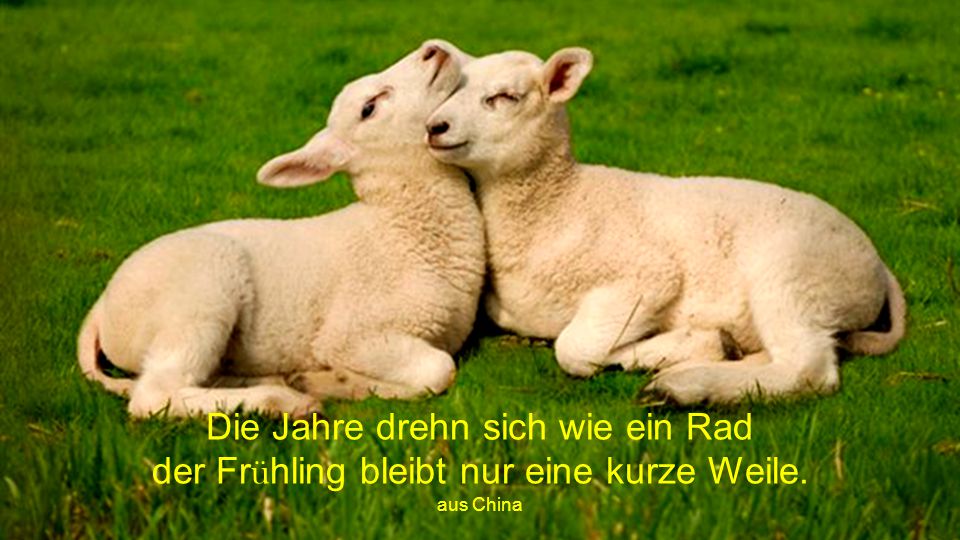 Die Jahre drehn sich wie ein Rad der Frühling bleibt nur eine kurze Weile.
