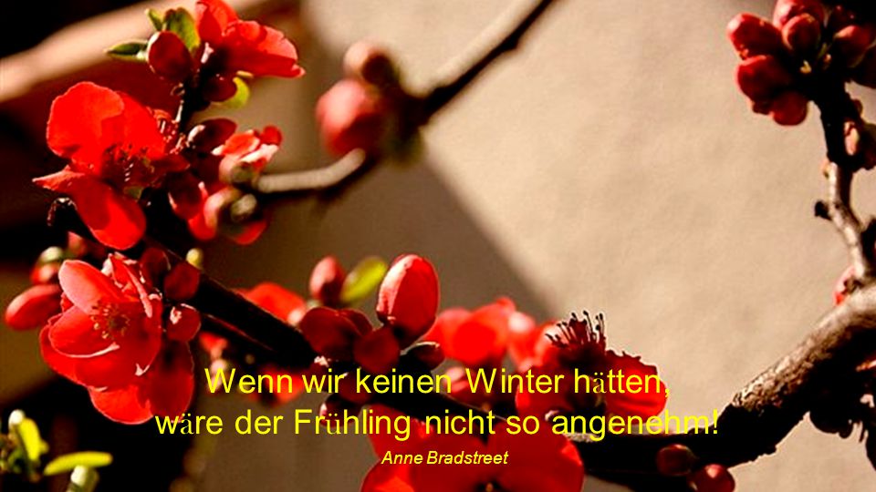 Wenn wir keinen Winter hätten, wäre der Frühling nicht so angenehm!