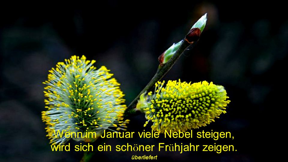 Wenn im Januar viele Nebel steigen, wird sich ein schöner Frühjahr zeigen.