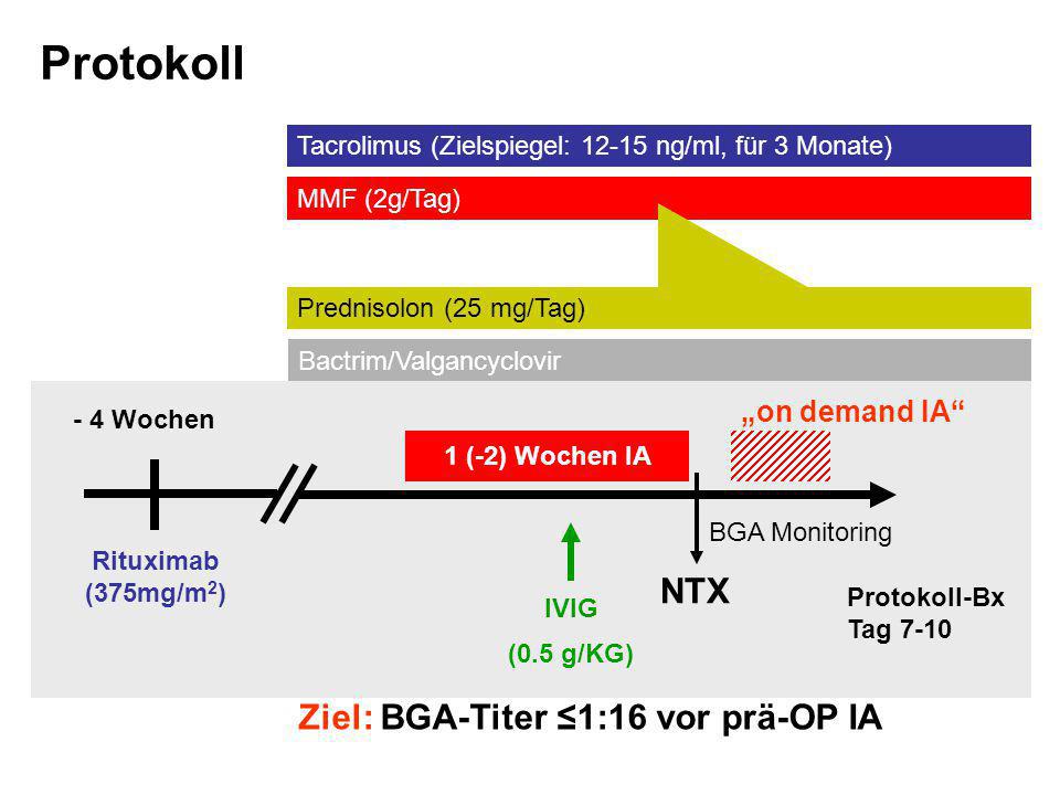 Protokoll NTX Ziel: BGA-Titer ≤1:16 vor prä-OP IA „on demand IA