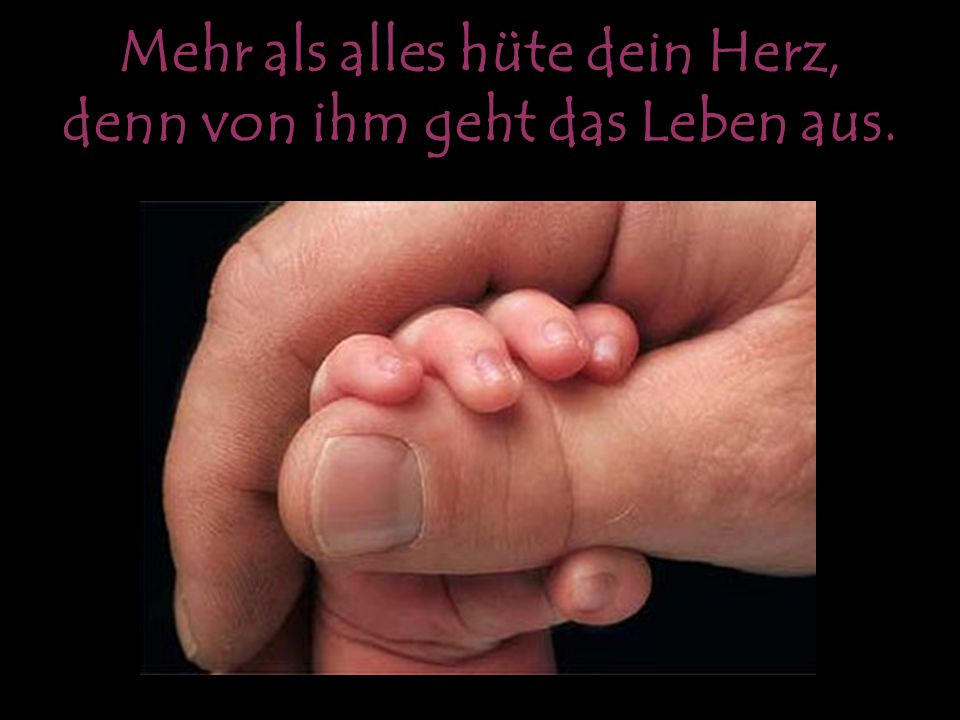 Mehr als alles hüte dein Herz, denn von ihm geht das Leben aus.