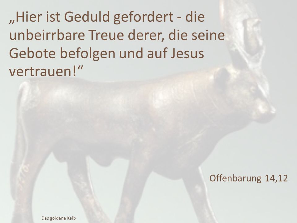 „Hier ist Geduld gefordert - die unbeirrbare Treue derer, die seine Gebote befolgen und auf Jesus vertrauen!
