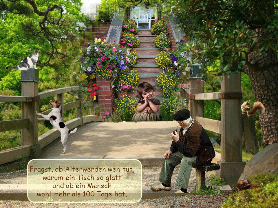Fragst, ob Älterwerden weh tut, warum ein Tisch so glatt
