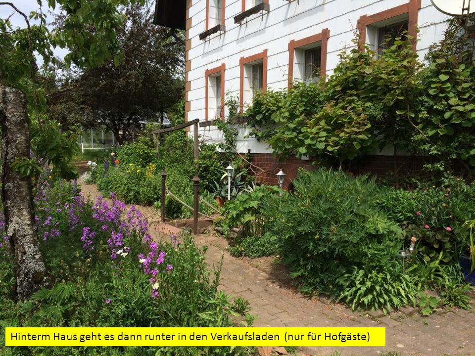 Hinterm Haus geht es dann runter in den Verkaufsladen (nur für Hofgäste)
