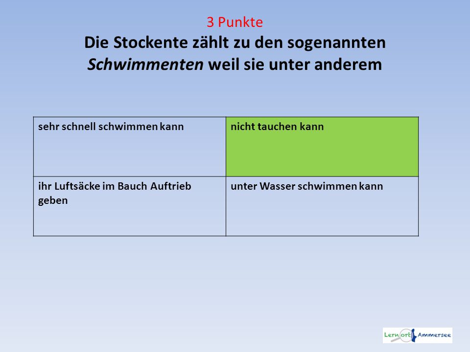 3 Punkte Die Stockente zählt zu den sogenannten Schwimmenten weil sie unter anderem