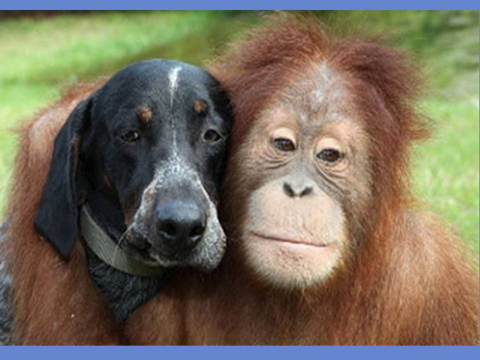 Long Live Friendship!!!!!!