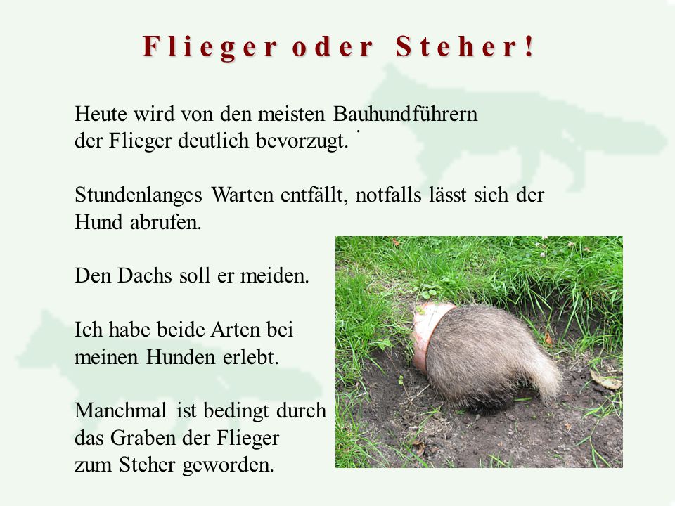 F l i e g e r o d e r S t e h e r ! Heute wird von den meisten Bauhundführern. der Flieger deutlich bevorzugt.