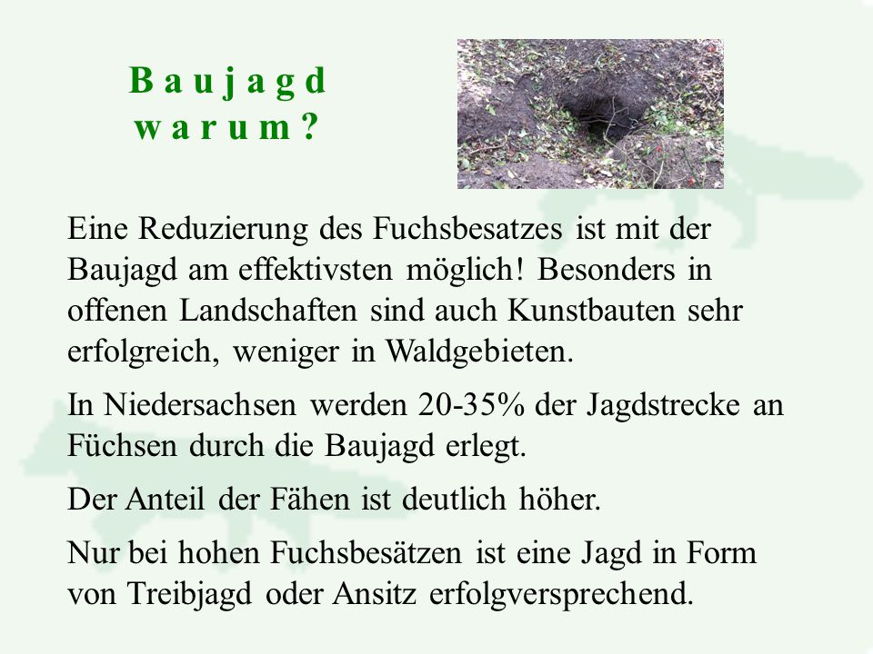 B a u j a g d w a r u m Eine Reduzierung des Fuchsbesatzes ist mit der Baujagd am effektivsten möglich! Besonders in.