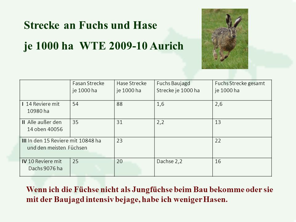 Strecke an Fuchs und Hase je 1000 ha WTE Aurich