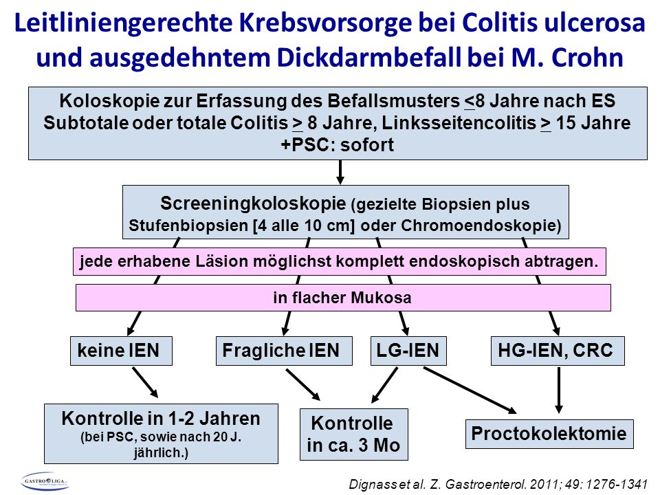 Leitliniengerechte Krebsvorsorge bei Colitis ulcerosa und ausgedehntem Dickdarmbefall bei M. Crohn