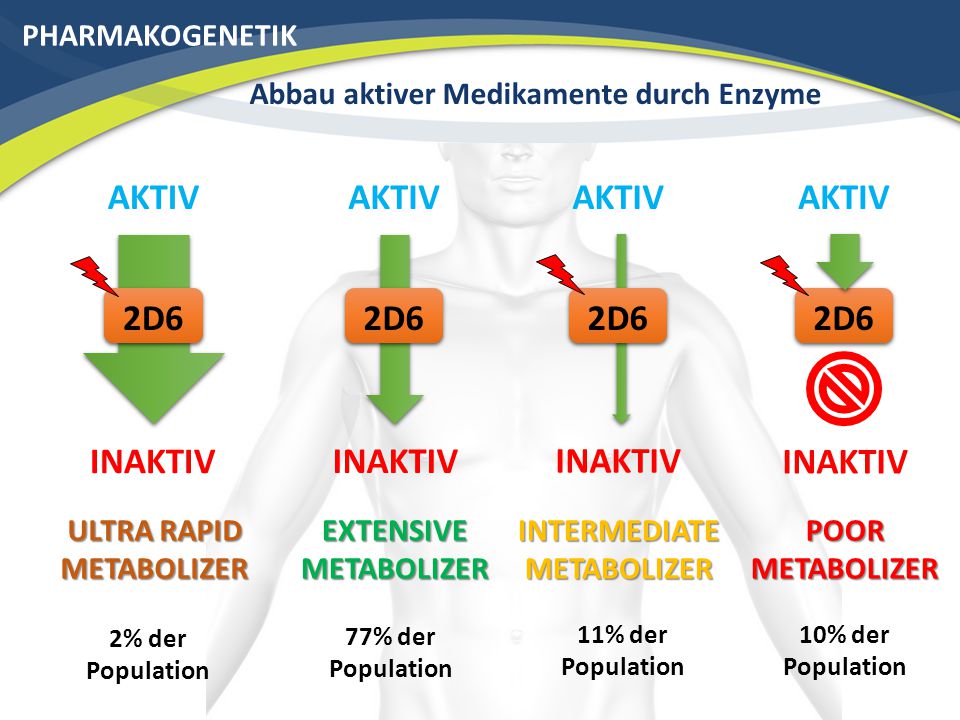 AKTIV AKTIV AKTIV AKTIV 2D6 2D6 2D6 2D6 INAKTIV INAKTIV INAKTIV