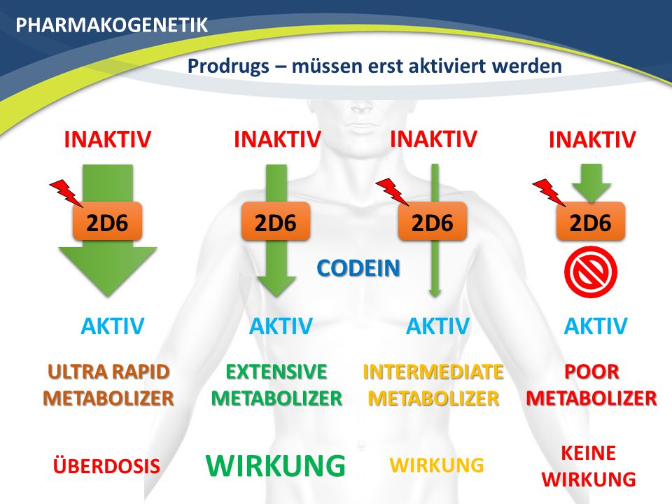 WIRKUNG INAKTIV INAKTIV INAKTIV INAKTIV 2D6 2D6 2D6 2D6 CODEIN AKTIV