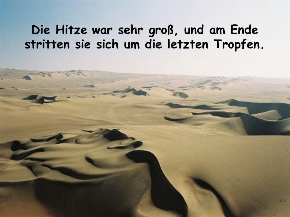 Die Hitze war sehr groß, und am Ende stritten sie sich um die letzten Tropfen.