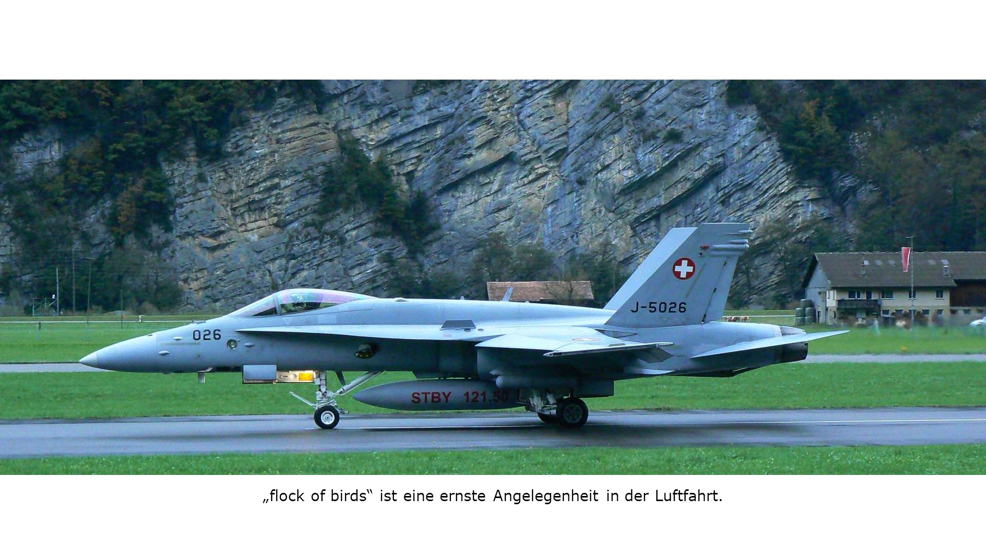 „flock of birds ist eine ernste Angelegenheit in der Luftfahrt.