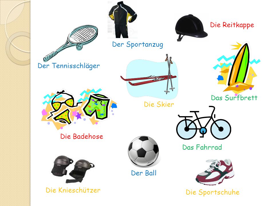 Die Reitkappe Der Sportanzug. Der Tennisschläger. Das Surfbrett. Die Skier. Die Badehose. Das Fahrrad.