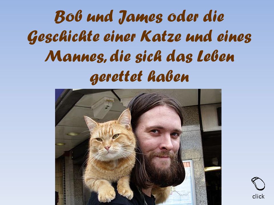 Bob und James oder die Geschichte einer Katze und eines Mannes, die sich das Leben gerettet haben
