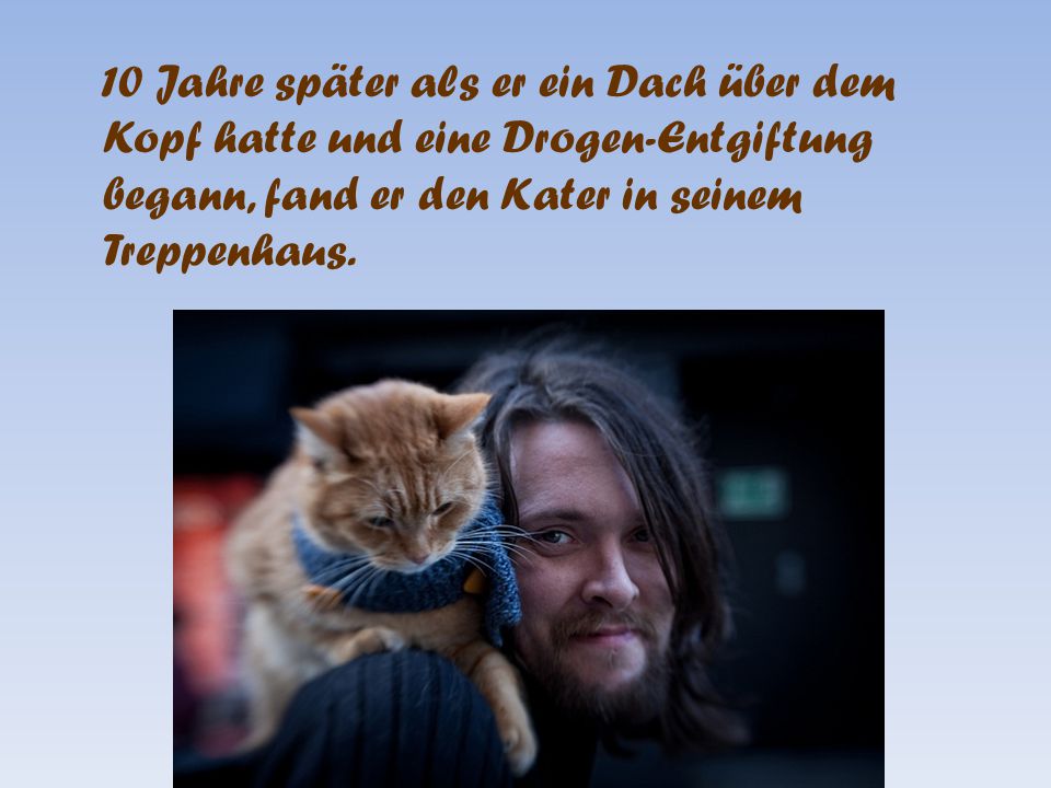 10 Jahre später als er ein Dach über dem Kopf hatte und eine Drogen-Entgiftung begann, fand er den Kater in seinem Treppenhaus.