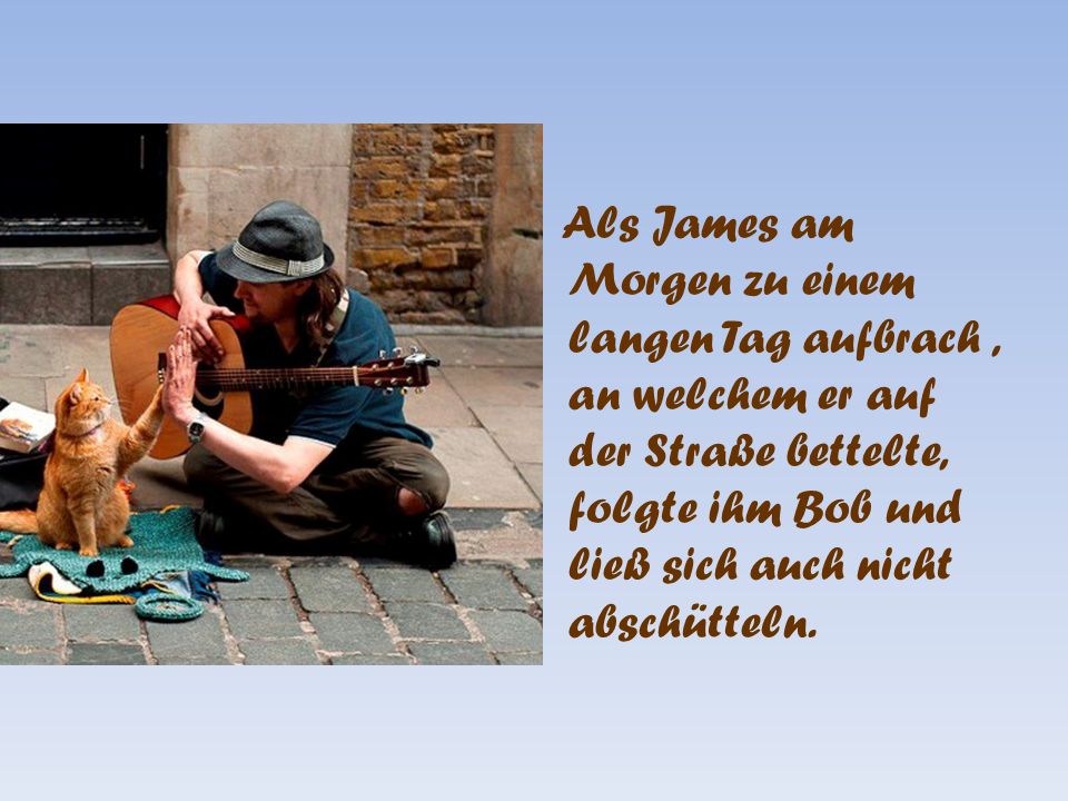 Als James am Morgen zu einem langen Tag aufbrach , an welchem er auf der Straße bettelte, folgte ihm Bob und ließ sich auch nicht abschütteln.