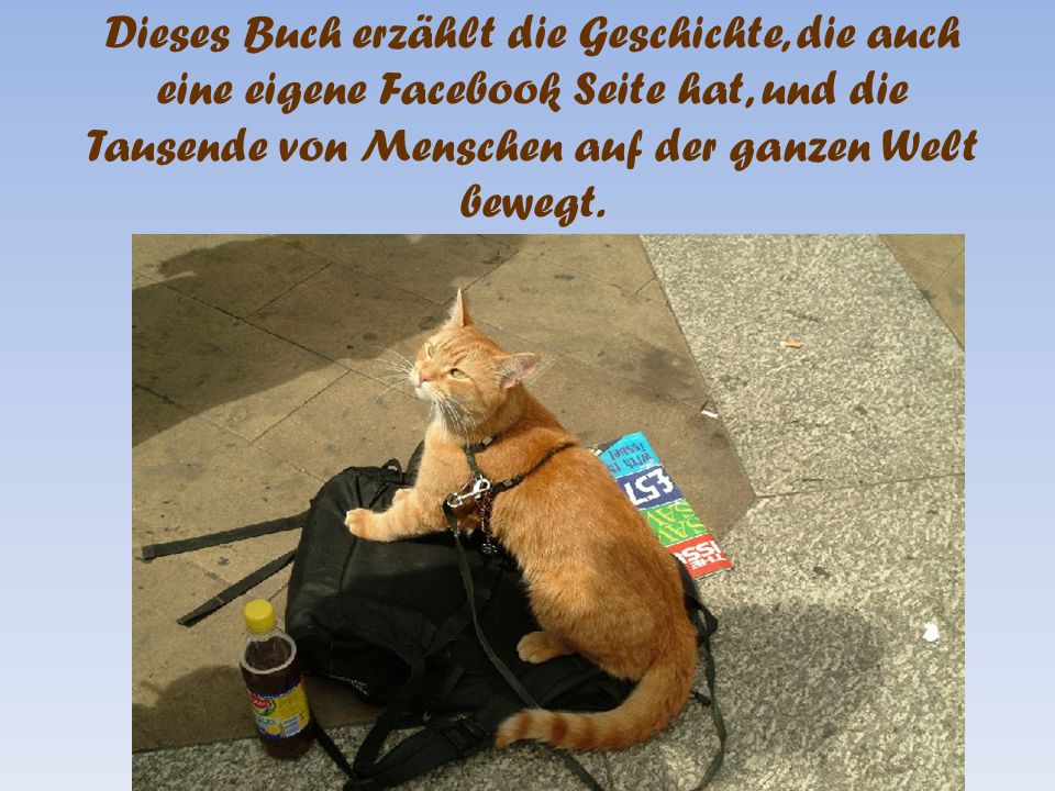 Dieses Buch erzählt die Geschichte, die auch eine eigene Facebook Seite hat, und die Tausende von Menschen auf der ganzen Welt bewegt.