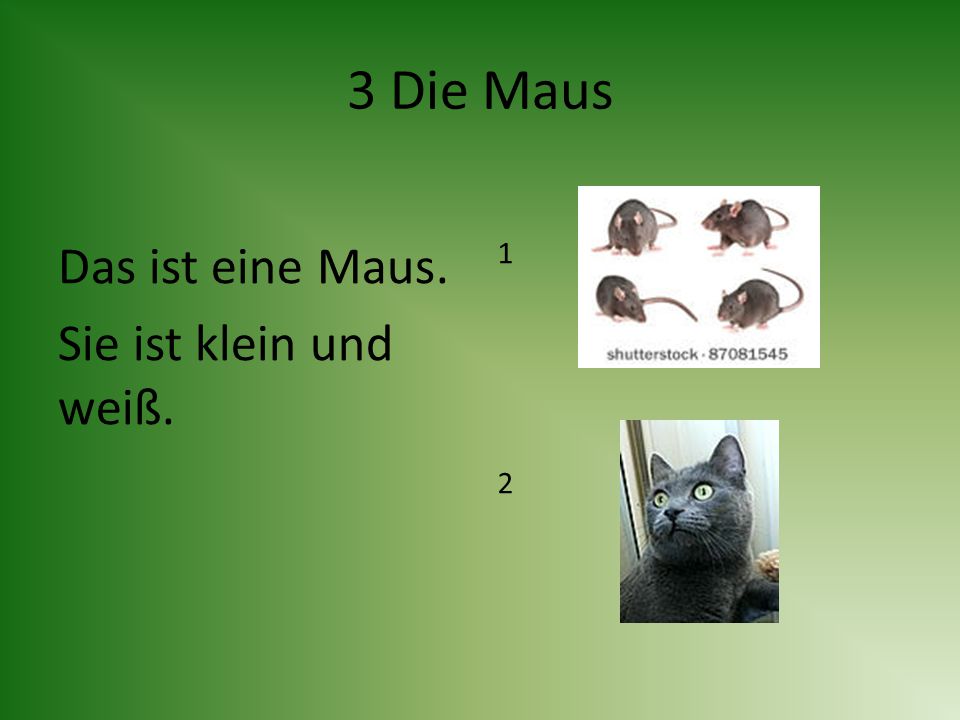 3 Die Maus Das ist eine Maus. Sie ist klein und weiß. 1 2