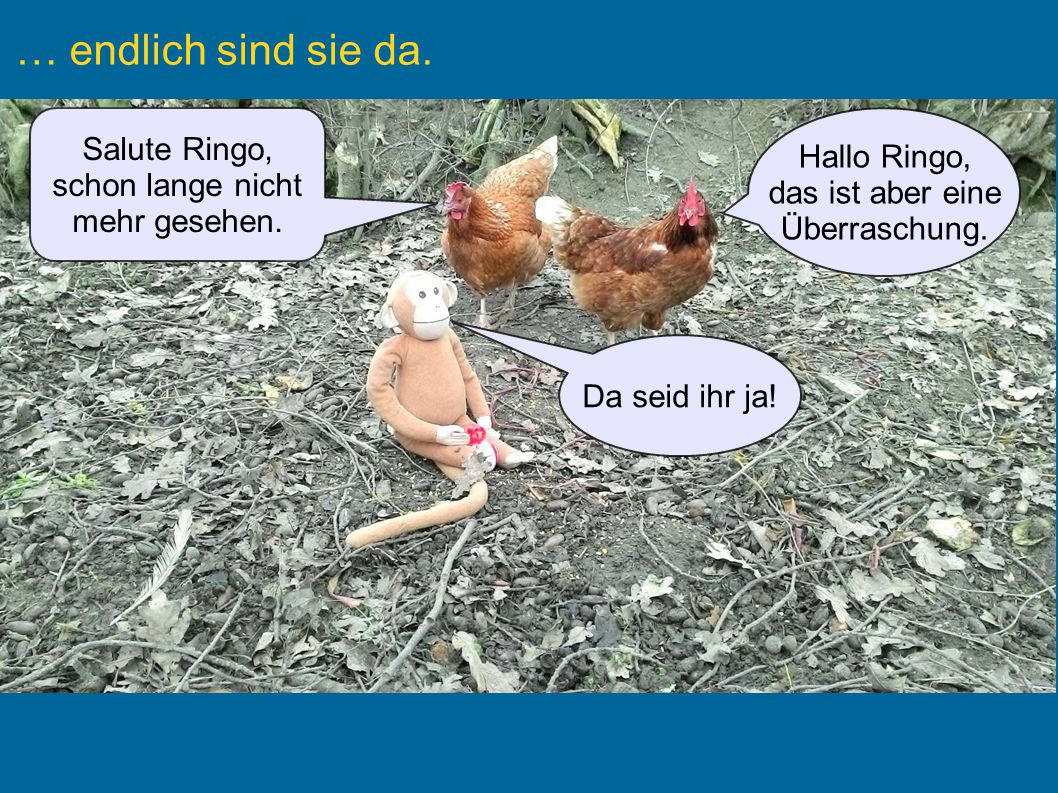 … endlich sind sie da. Eingabefeld für Text Eingabefeld für Text
