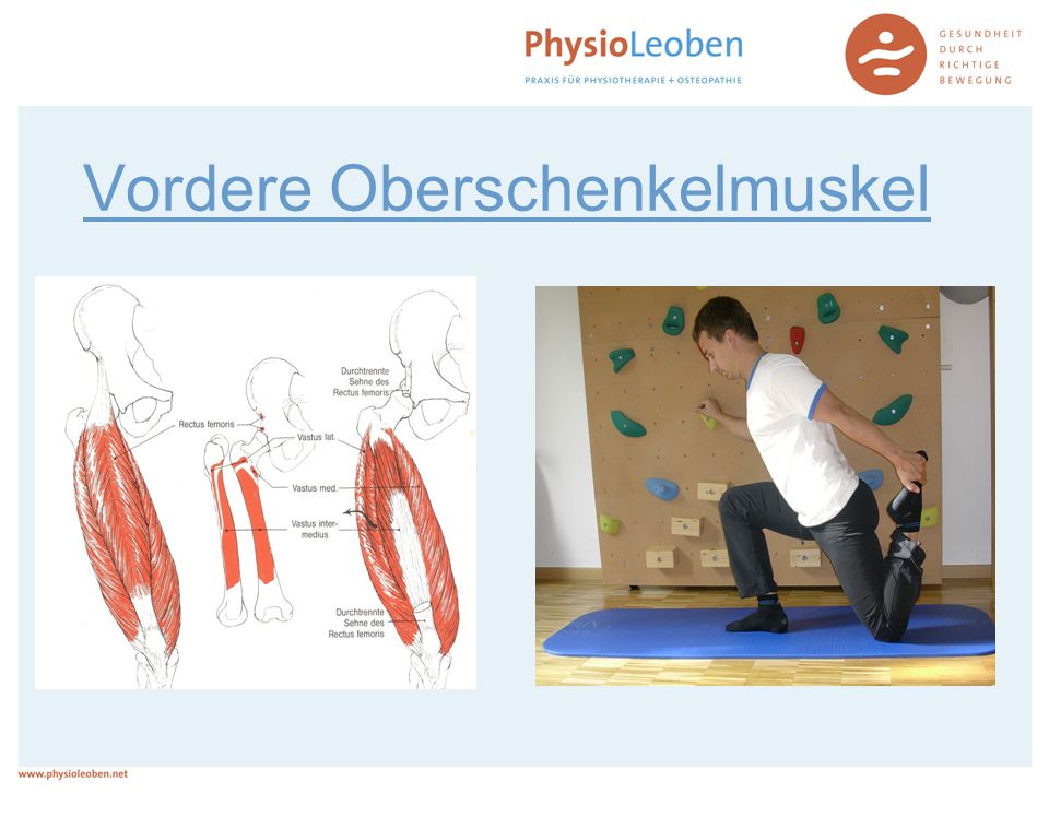 Vordere Oberschenkelmuskel