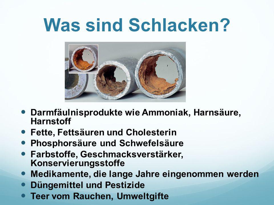 Was sind Schlacken Darmfäulnisprodukte wie Ammoniak, Harnsäure, Harnstoff. Fette, Fettsäuren und Cholesterin.