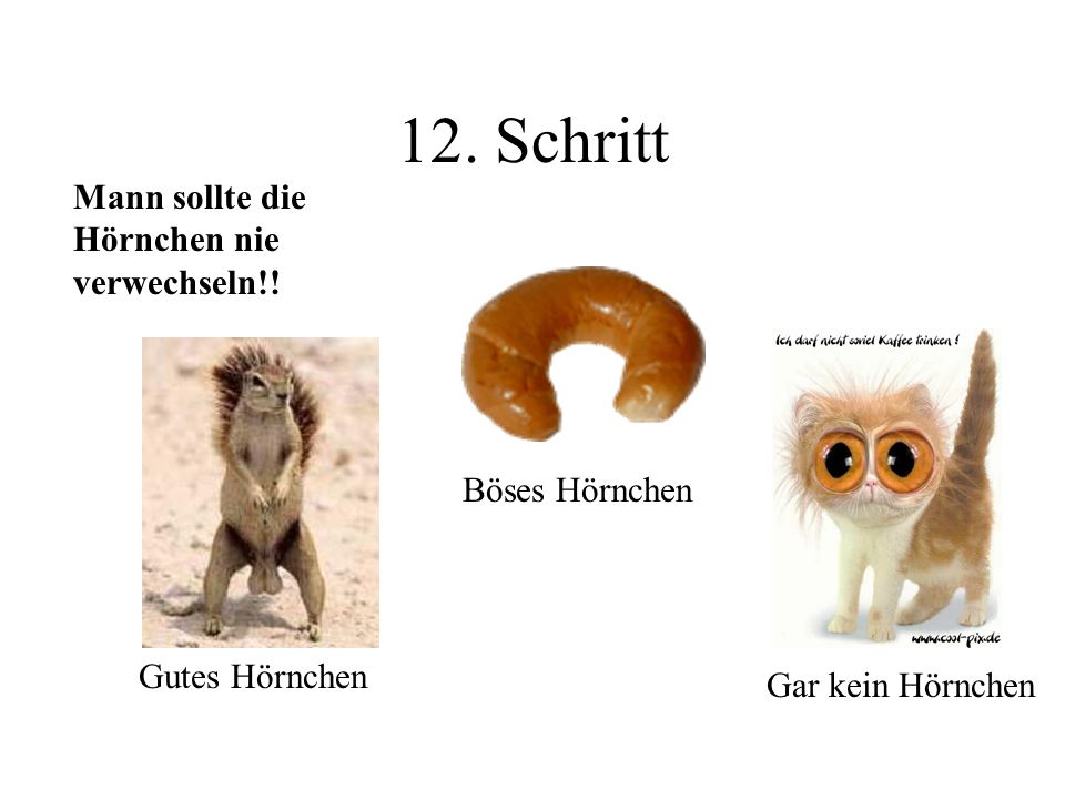 12. Schritt Mann sollte die Hörnchen nie verwechseln!! Böses Hörnchen