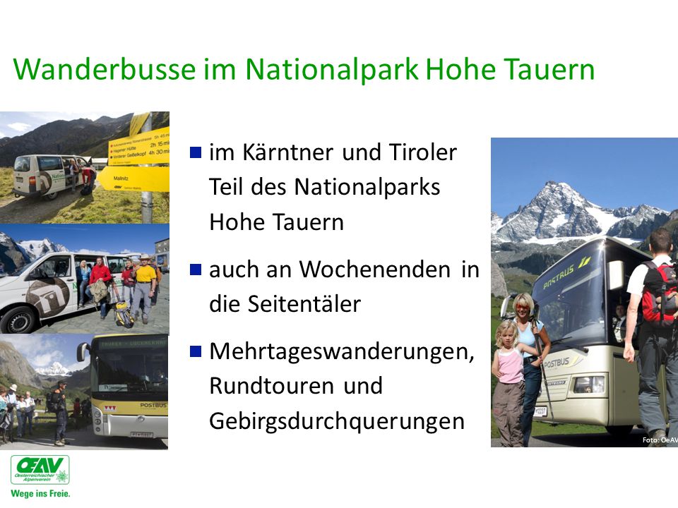 Wanderbusse im Nationalpark Hohe Tauern