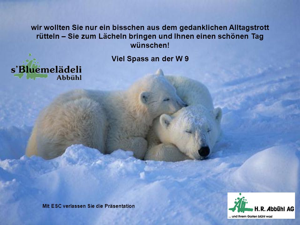 wir wollten Sie nur ein bisschen aus dem gedanklichen Alltagstrott rütteln – Sie zum Lächeln bringen und Ihnen einen schönen Tag wünschen!