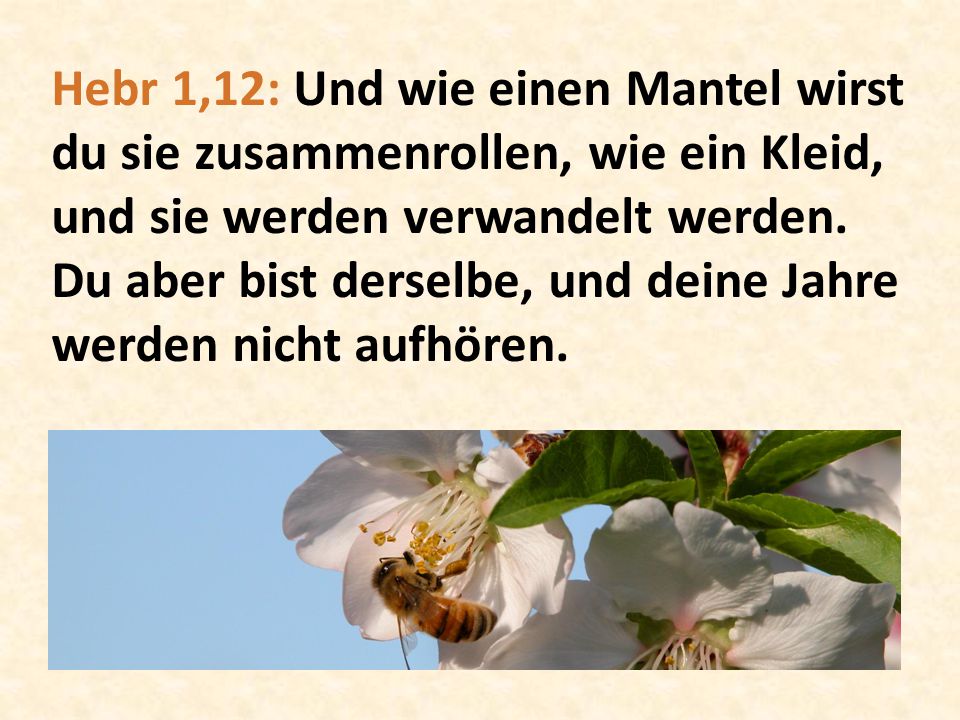Hebr 1,12: Und wie einen Mantel wirst du sie zusammenrollen, wie ein Kleid, und sie werden verwandelt werden.