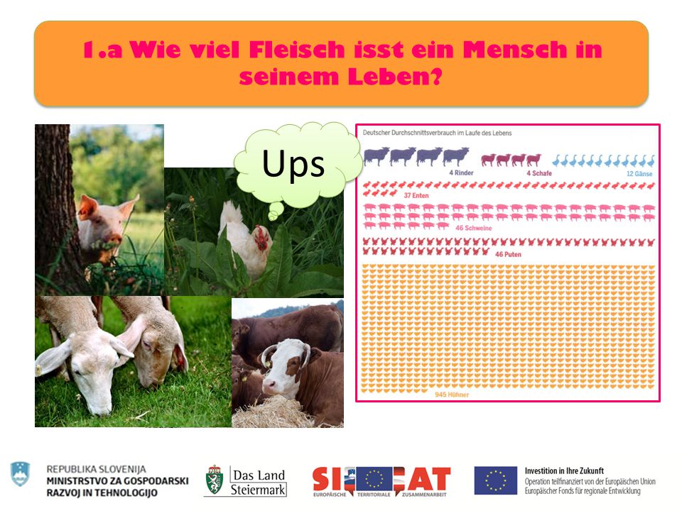 1.a Wie viel Fleisch isst ein Mensch in seinem Leben
